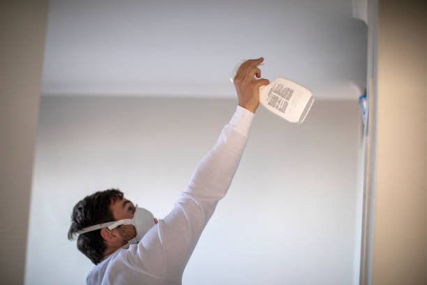 Trusted Beaufort, SC Mold Removal Experts
