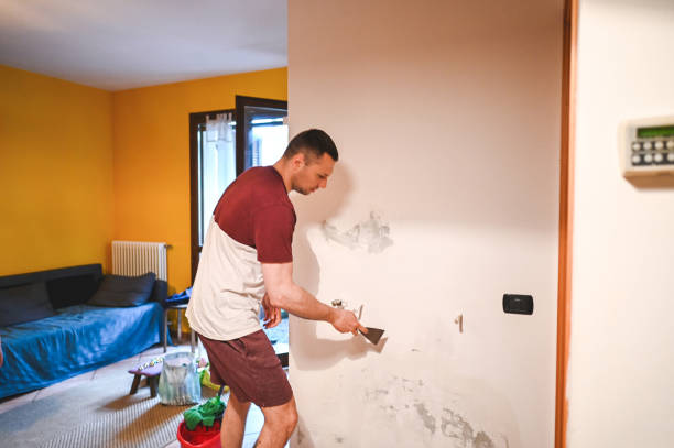 Mold Removal Process in Beaufort, SC